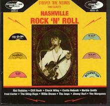 nashvillerr.jpg (21093 bytes)